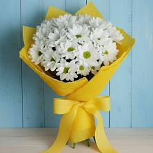 Букет цветов из:  Хризантемы в Шубном