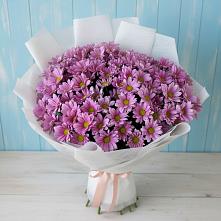 Букет цветов из:  Хризантемы в Шубном