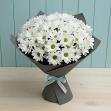 Букет цветов из:  Хризантемы в Шубном