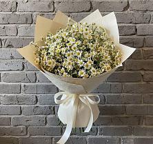Букет цветов из:  Ромашки в Шубном