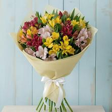 Букет цветов из:  Альстромерии в Шубном