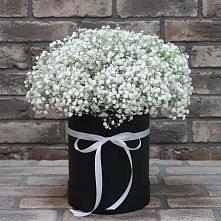 Цветочная композиция из Гипсофила в шляпной коробке #REPLACE_PRED# Шубном
