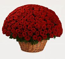 Премиум букет из: Розы в Шубном