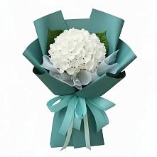 Букет цветов из:  Гортензия в Шубном
